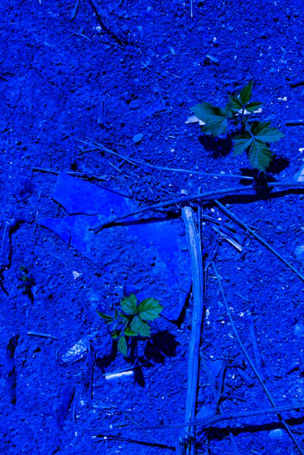 Tristan Alexandre - Blue